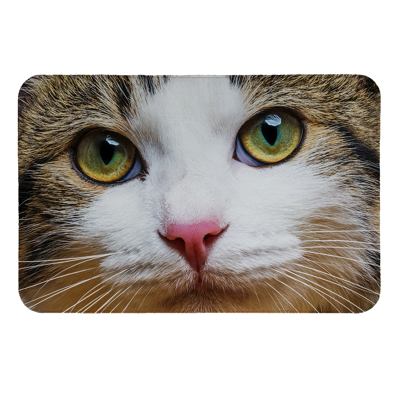 زیرقابلمه ای طرح گربه کد 6202