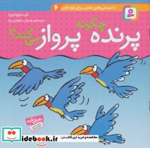 قیمت و خرید کتاب پرنده چگونه پرواز می کند؟ | ایده بوک
