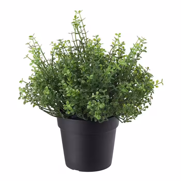 گل مصنوعی اشک کودک (اشک فرشته) ایکیا مدل FEJKA کد 90395337