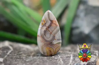 کرزی لس اگات