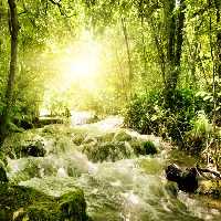 خرید و دانلود عکس IranBCS کد 27534 | پیک فاکس | Pic Fox