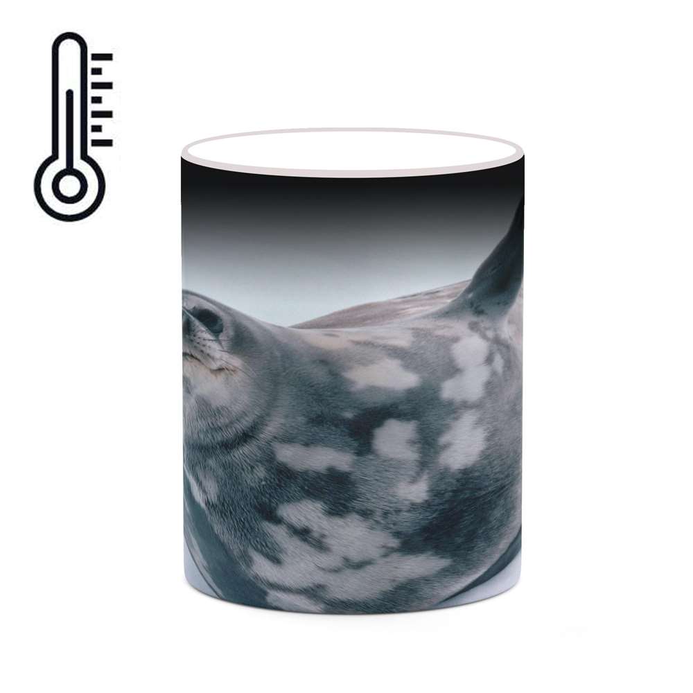 ماگ حرارتی کاکتی طرح فوک مدل mgh19229