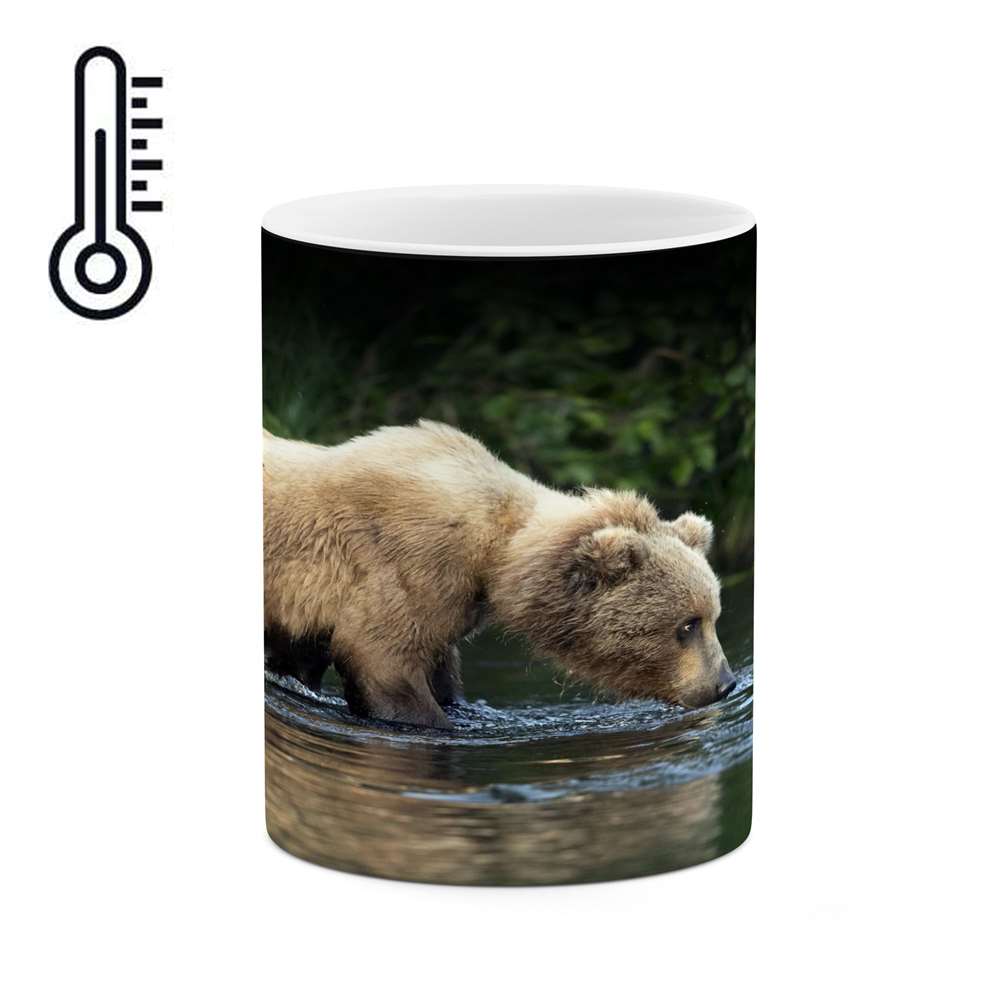 ماگ حرارتی کاکتی طرح خرس مدل mgh16209