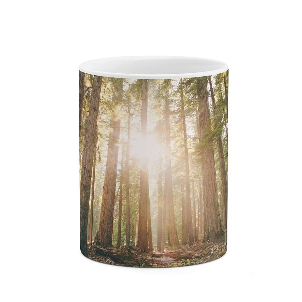 ماگ طرح طبیعت و حیات وحش  مدل mgp12723