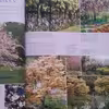 كتاب Late Spring اثر جمعي از نويسندگان انتشارات ریدرز دایجست