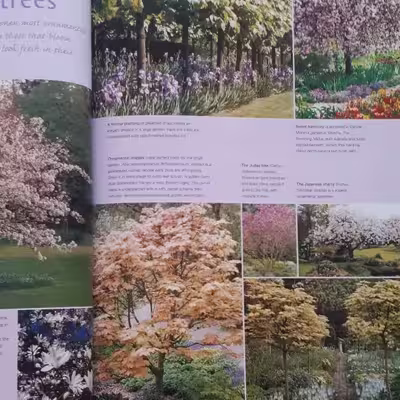 كتاب Late Spring اثر جمعي از نويسندگان انتشارات ریدرز دایجست