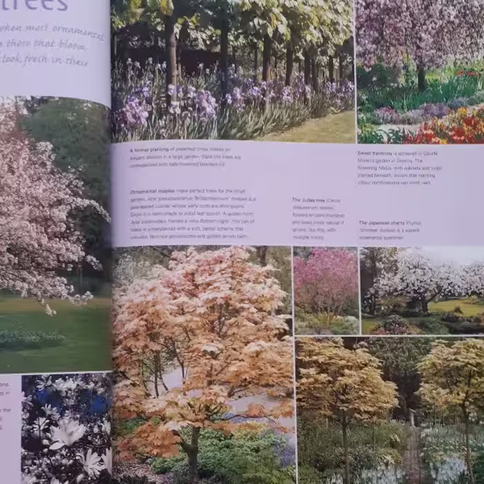 كتاب Late Spring اثر جمعي از نويسندگان انتشارات ریدرز دایجست