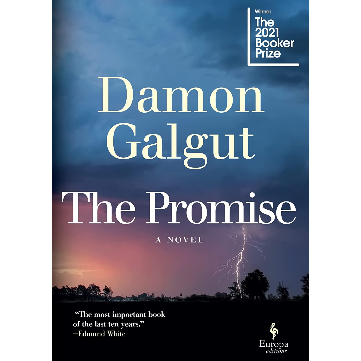 کتاب The Promise: A Novel (Booker Prize Winner) اثر Damon Galgut انتشارات Europa Editions