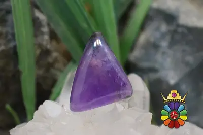 امتیست دامله(کاپوشی)