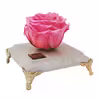 گل رز جاودان مدل PINK127