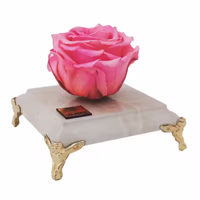 گل رز جاودان مدل PINK127