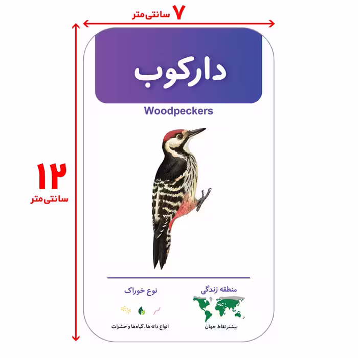 فلش کارت آشنایی با پرندگان انتشارات اندیشه کهن