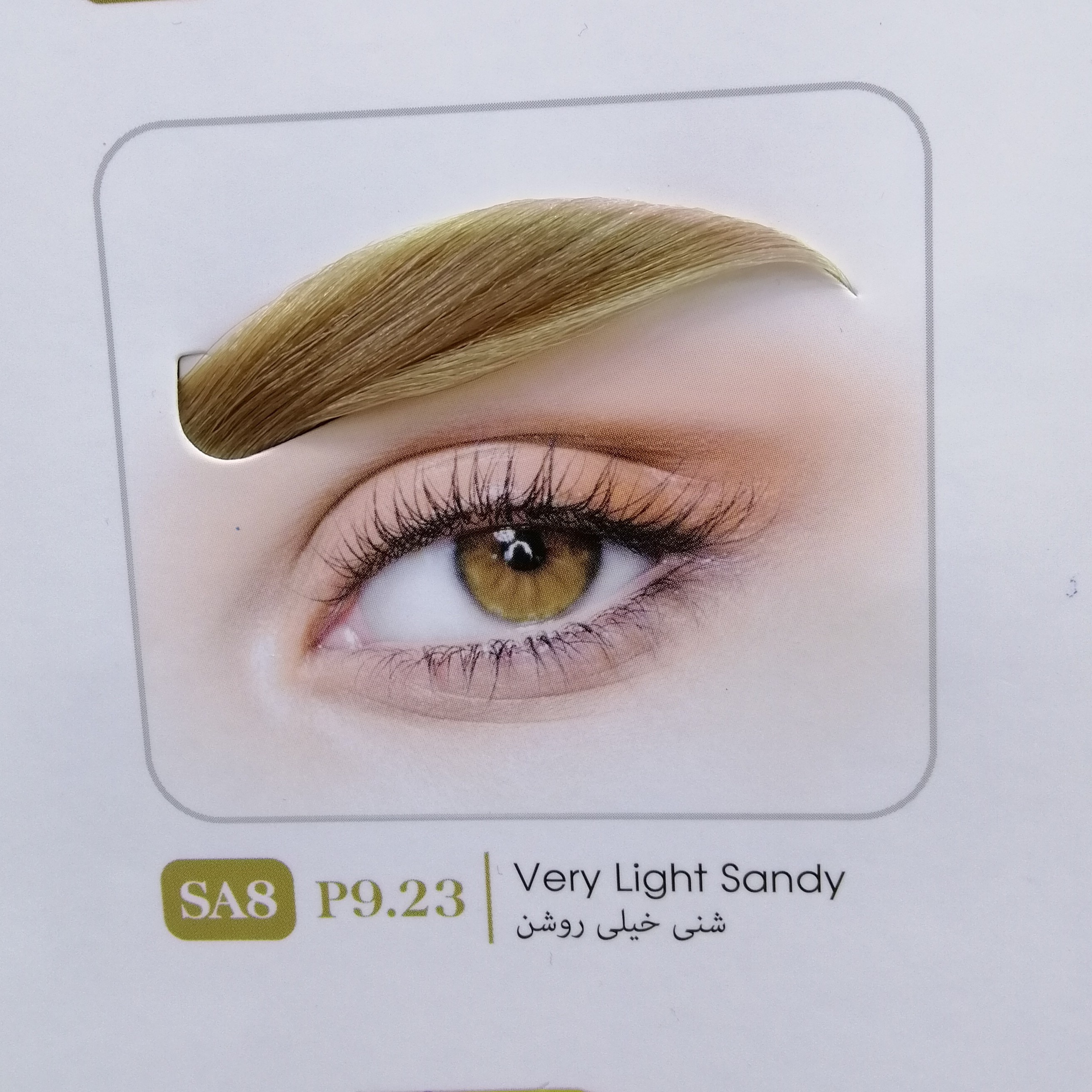 رنگ ابرو پالمور کیت کامل رنگ اکسیدان کاسه و فرچه شماره رنگ SA8 یا P8. 23 شنی خیلی روشن