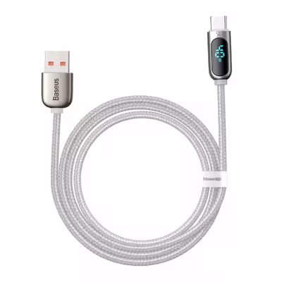 کابل تبدیل USB به USB-C باسئوس مدل CATSK-A02 طول 2 متر