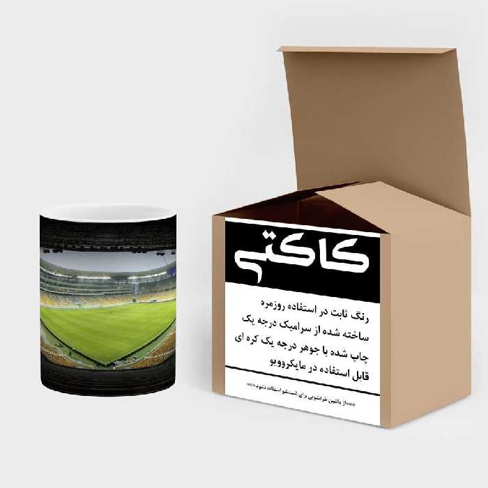 ماگ حرارتی کاکتی طرح ورزشی مدل mgh12660