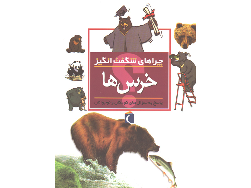 کتاب چراهای شگفت انگیز خرس ها اثر باربارا تایلور