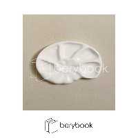 وندا / پالت سرامیکی صدف / کد 138