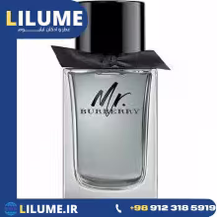 عطر ادکلن باربری مستر باربری 100 میل مردانه