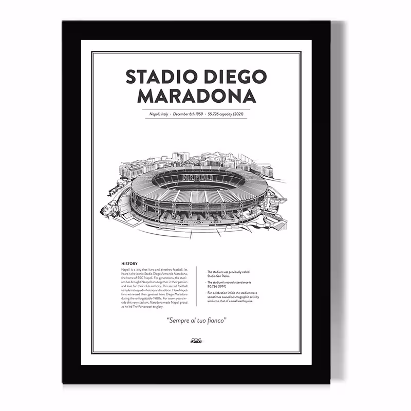 تابلو مدل دیواری طرح استادیوم دیگو مارادونا ناپولی Stadio Diego Maradona کد FD042 | دنیای قاب