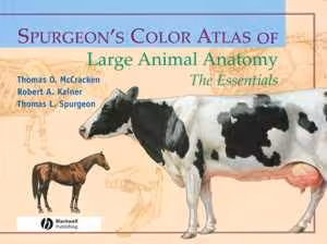 [EPUB] دانلود کتاب Spurgeon's Color Atlas Of Large Animal Anatomy - The Essentials, 2013
