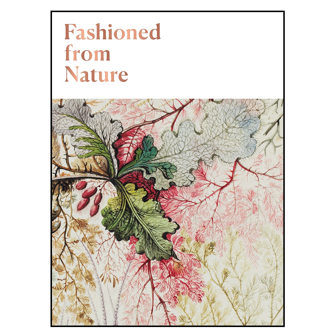 کتاب Fashioned From Nature اثر Emma Watson انتشارات V & A Publishing