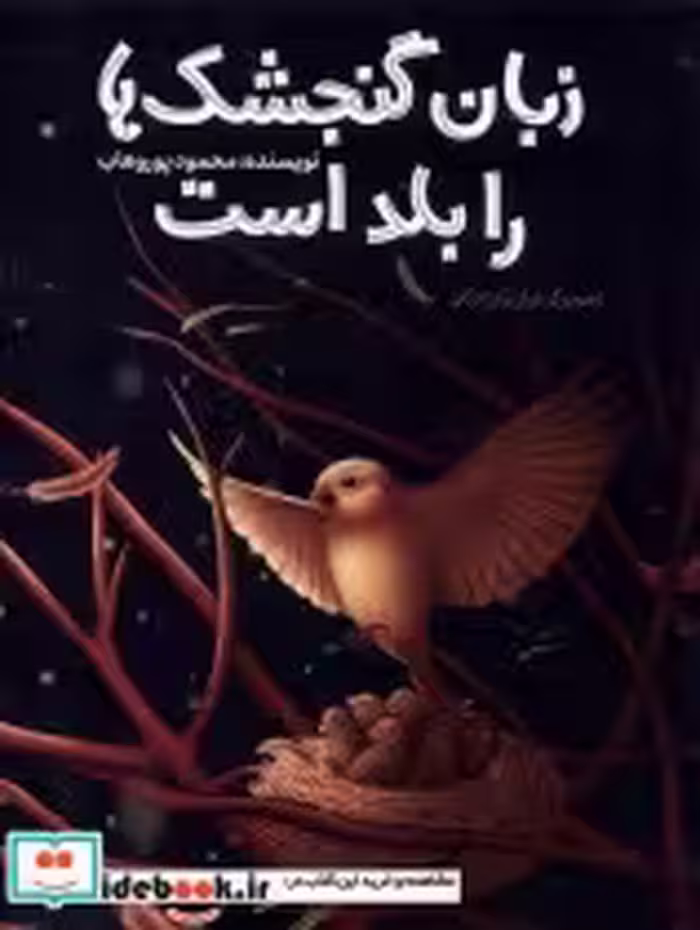 قیمت و خرید کتاب زبان گنجشک ها را بلد است | ایده بوک