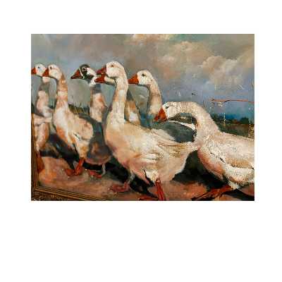 تابلو نقاشی اکریلیک طرح غاز های وحشی کد F-6677