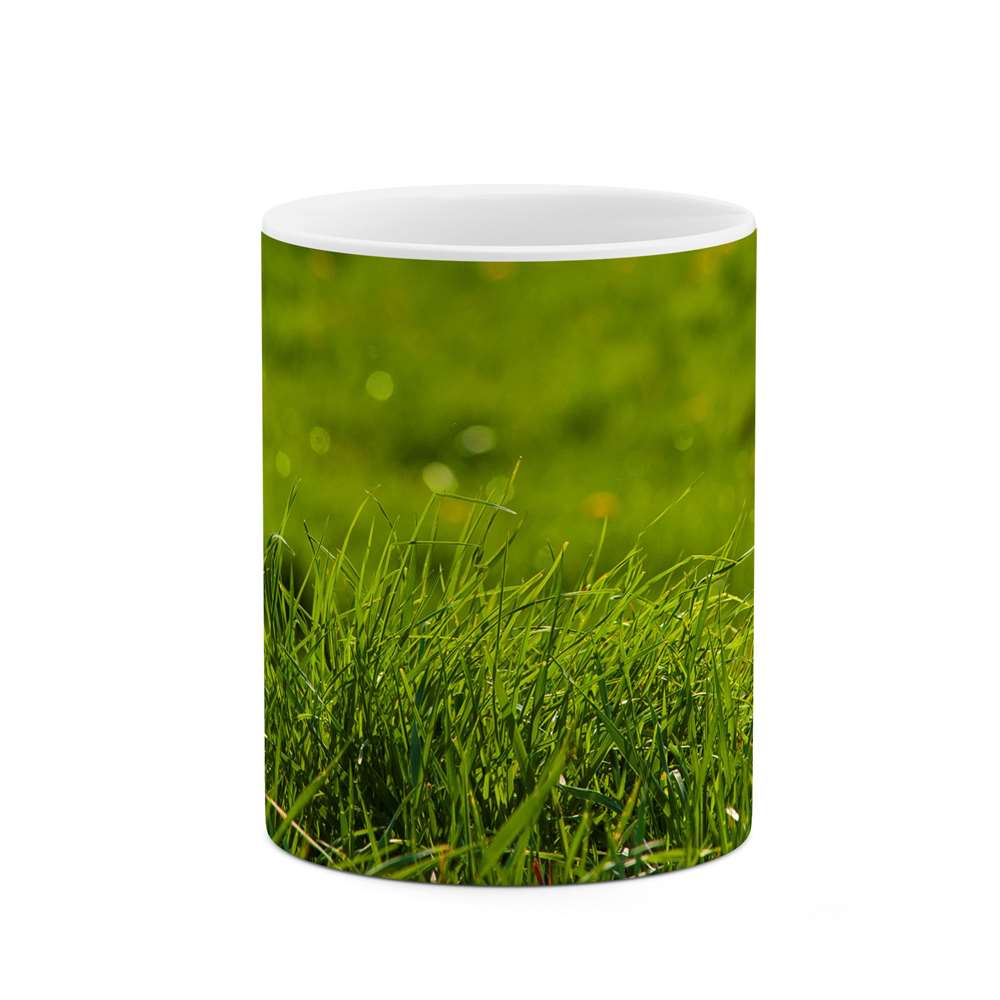 ماگ طرح چمن مدل mgs11279