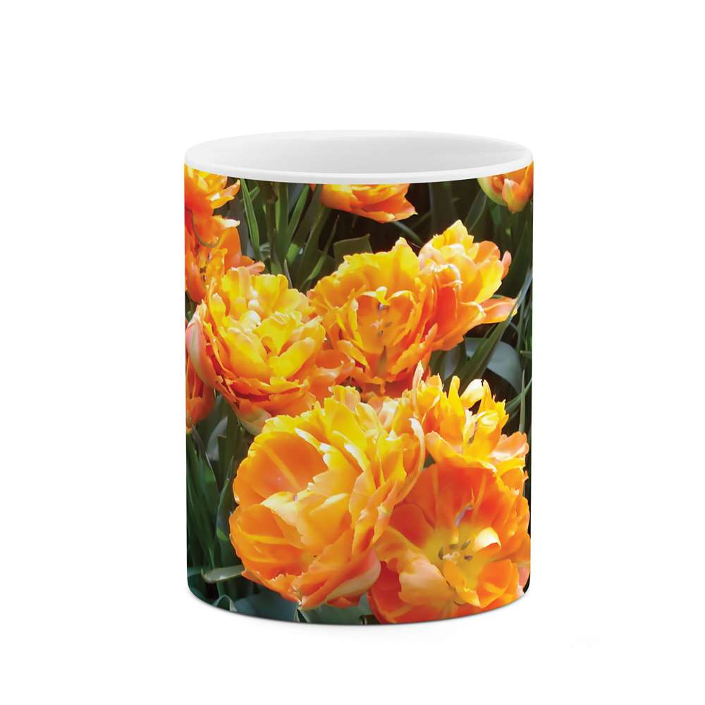 ماگ طرح گل مدل mgs10069