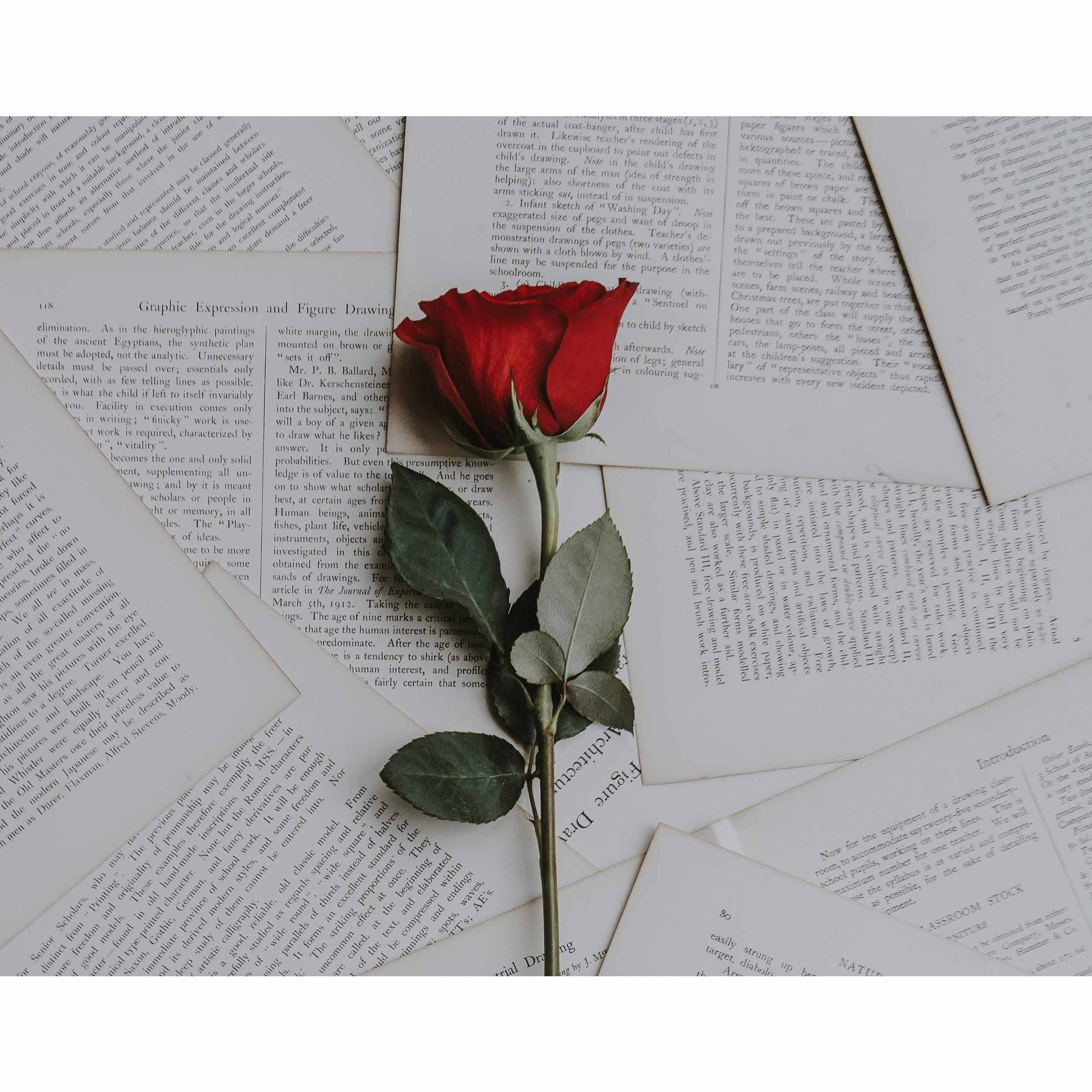 تابلو شاسی طرح گل رز مدل 12