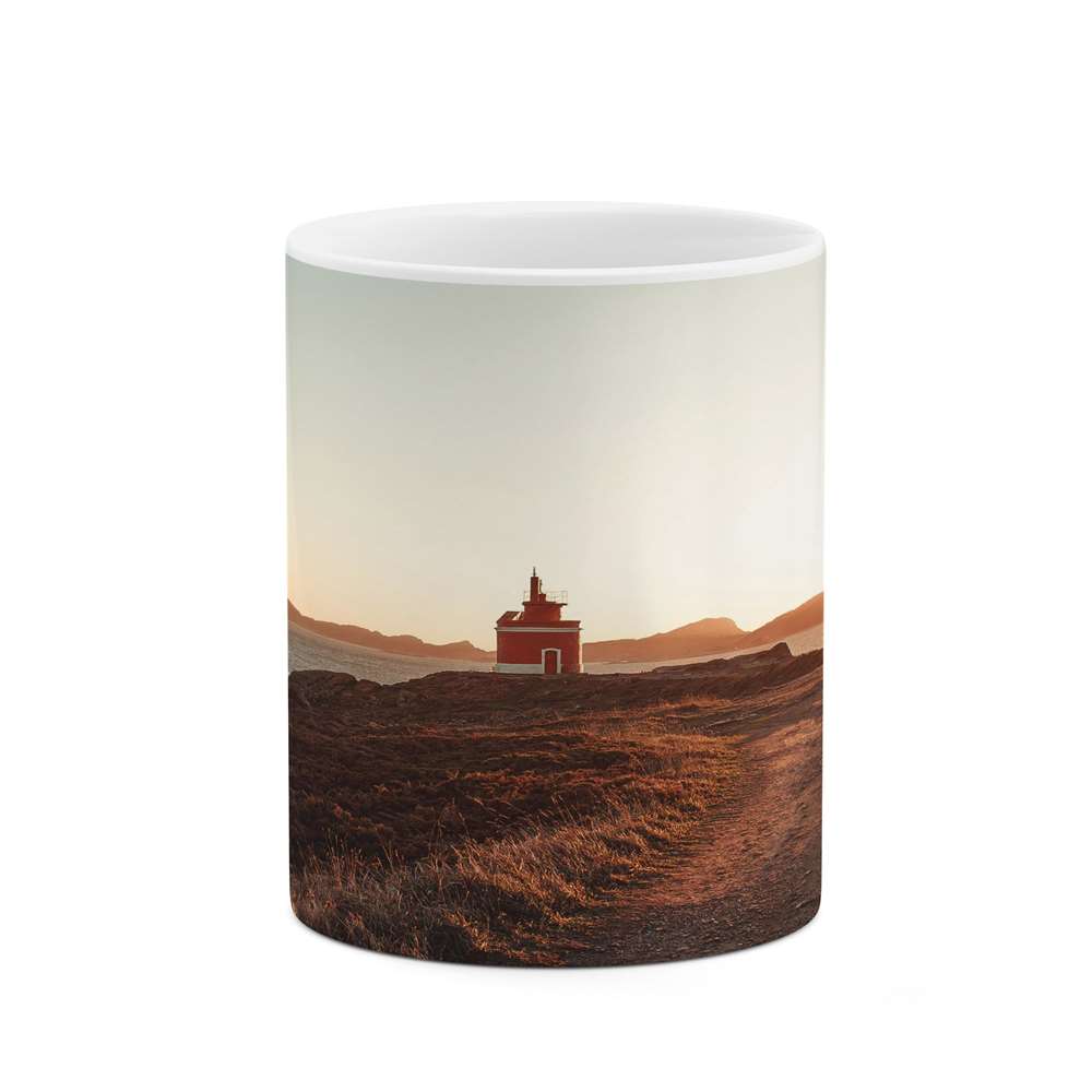 ماگ کاکتی طرح منظره مدل mgs14707