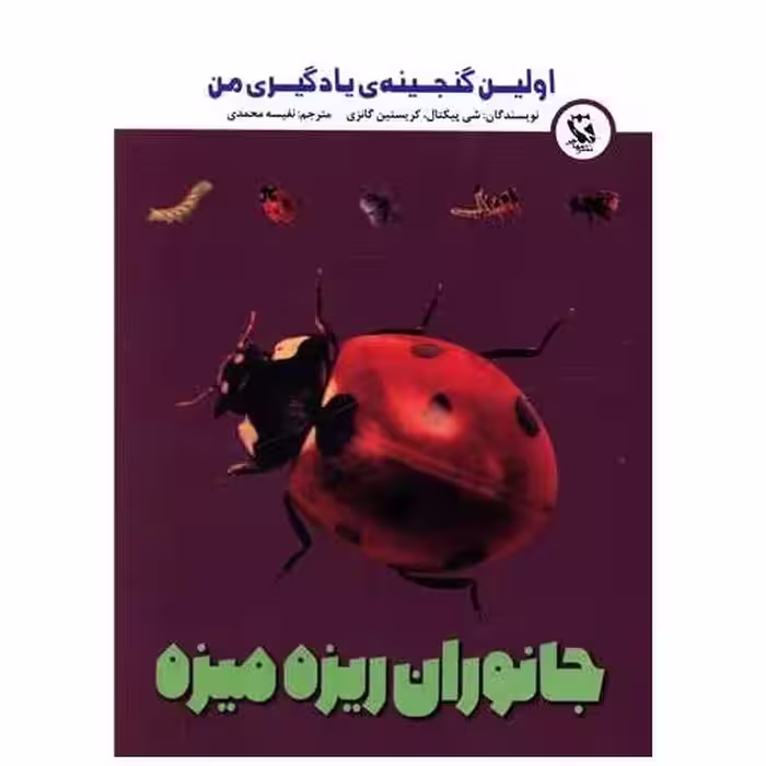 کتاب جانوران ریزه میزه (اولین گنجینه یادگیری من)(جیبی) اثر شی پیکتال