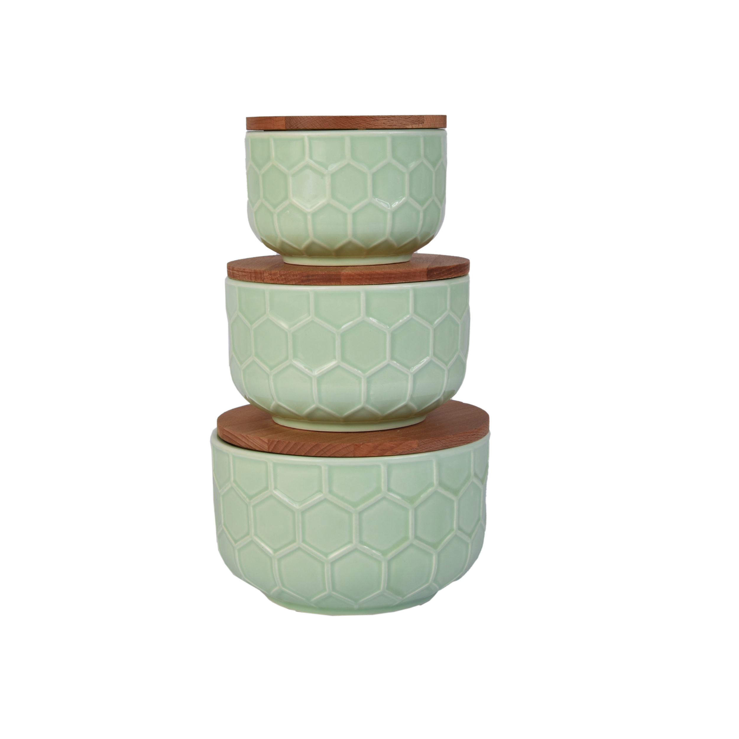 ظرف نگهدارنده ام جی اس مدل CF1021