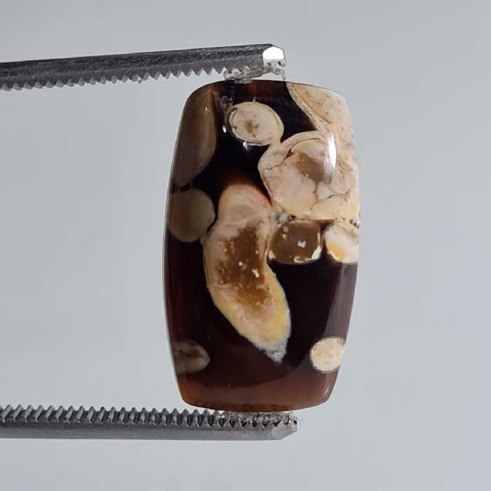 سنگ اصل پینوت وود جاسپر طبیعی 5098