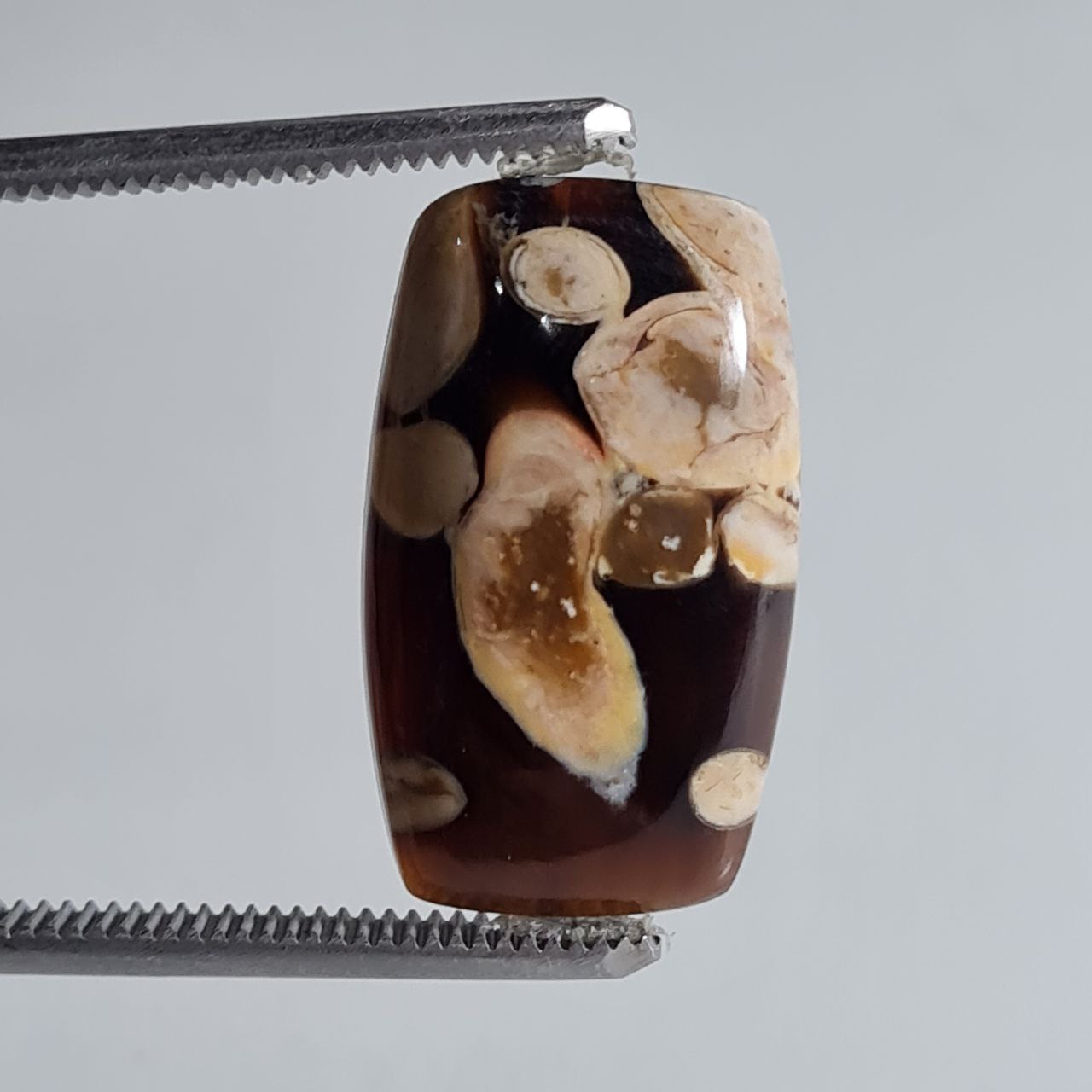 سنگ اصل پینوت وود جاسپر طبیعی 5098