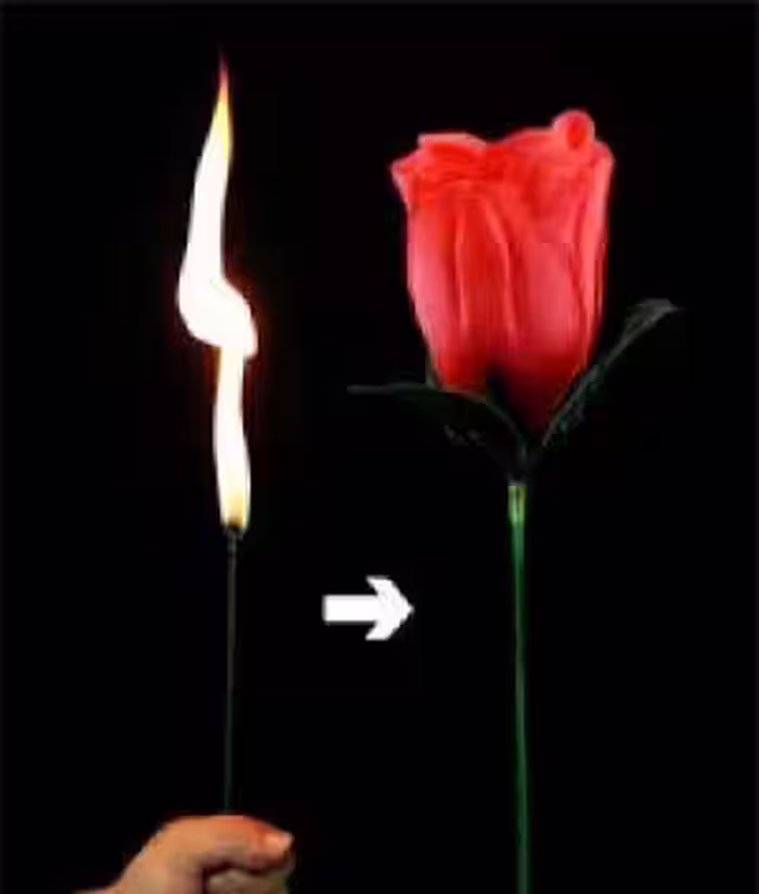 تبدیل شعله به گل