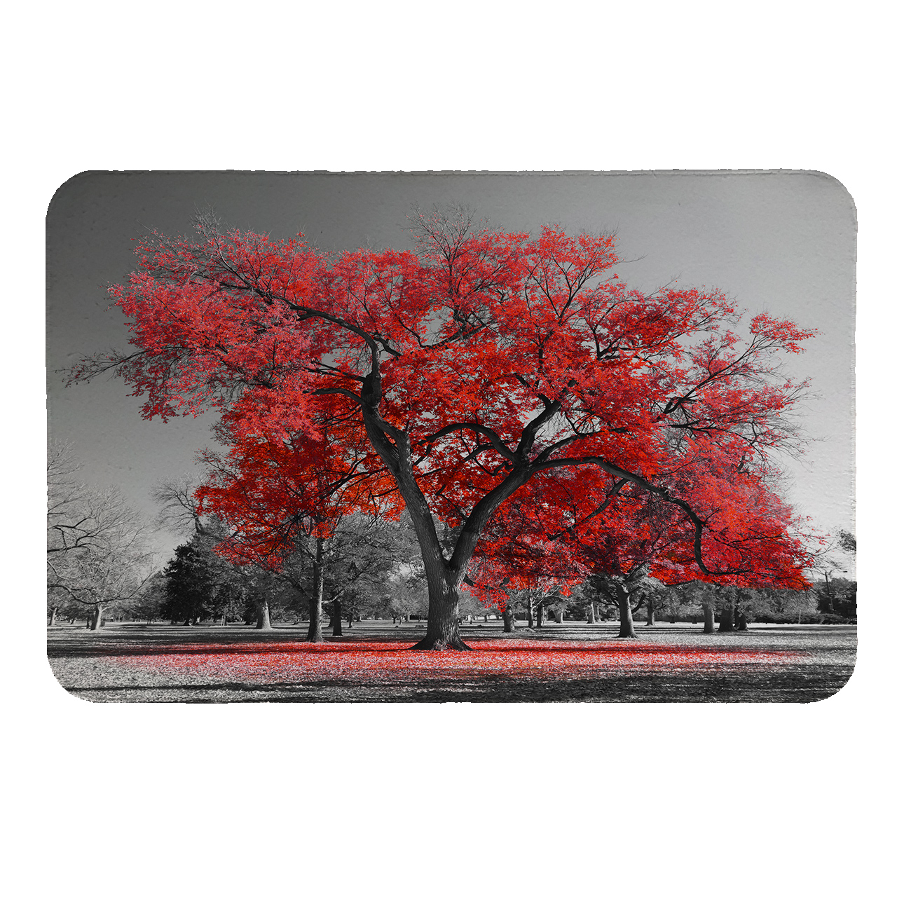 رطوبت گیر کنار سینک کد 5523