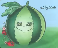 میوه ها را بشناسیم (هندوانه)،(گلاسه)
