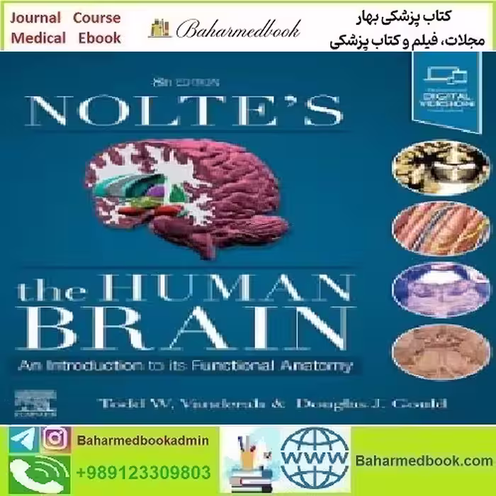 Nolte's The Human Brain An Introduction to its Functional Anatomy