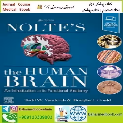 Nolte's The Human Brain An Introduction to its Functional Anatomy