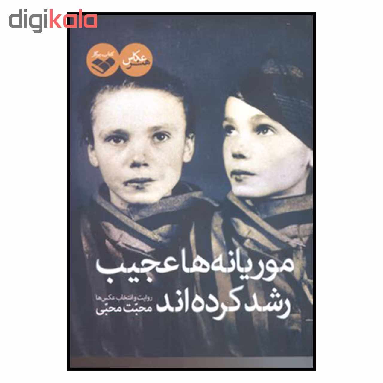کتاب موریانه ها عجیب رشد کرده اند اثر محب محبی انتشارات پرگار 