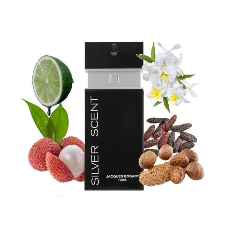 عطر گرمی مردانه سیلور سنت