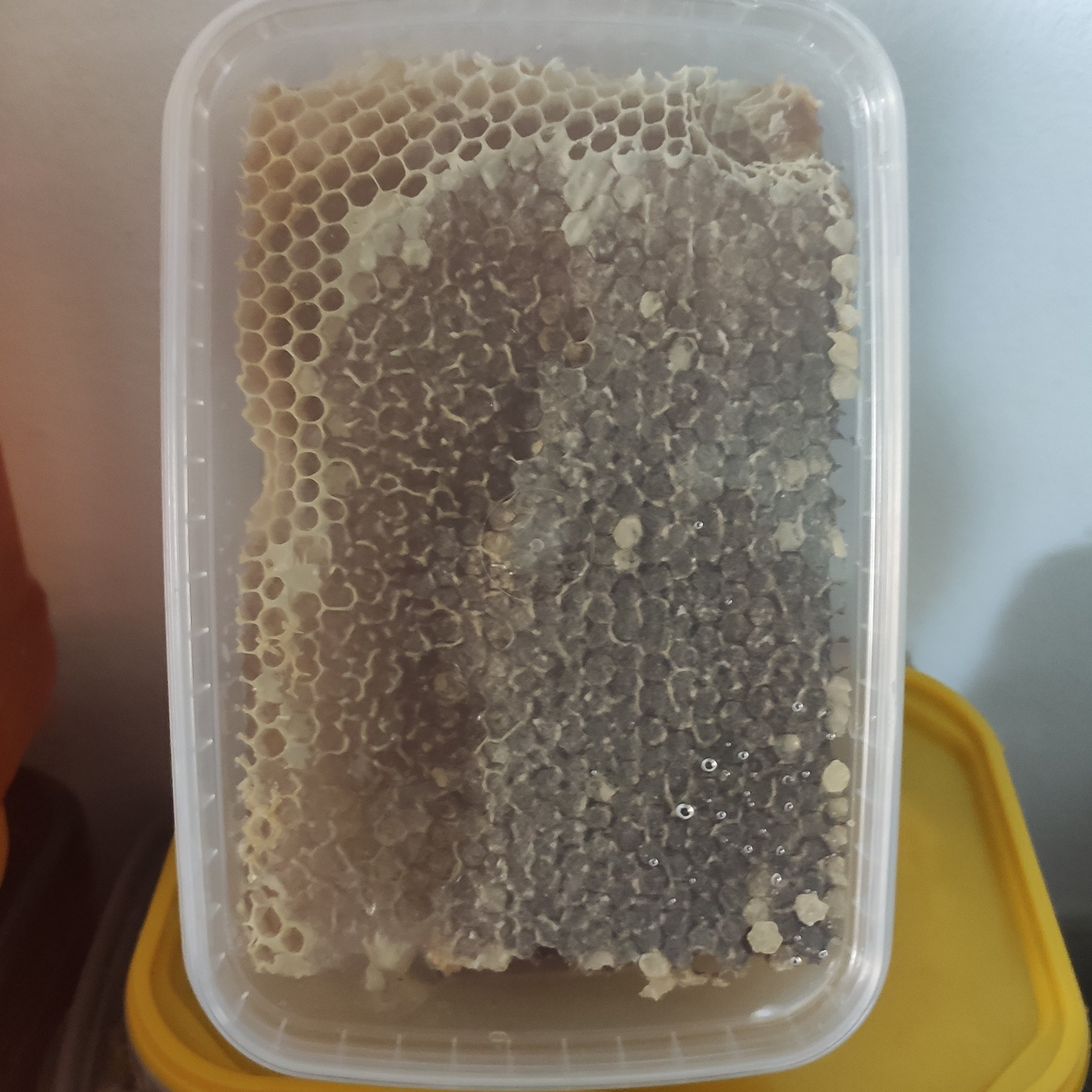 عسل موم دار یک کیلویی