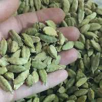 هل سبز درشت و دستچین شده  بسیار معطر و درجه یک(250 گرمی) 
