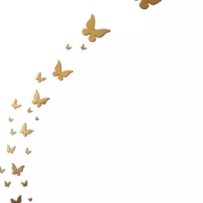 اینه دکوراتیو مدل پروانه مجموعه 9 عددی