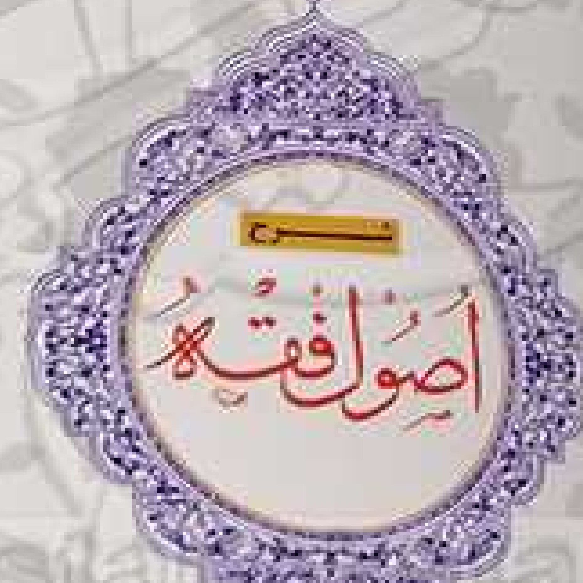 کتاب شرح اصول فقه 4علی محمدی اثر علی محمدی نشر دارالفکر 