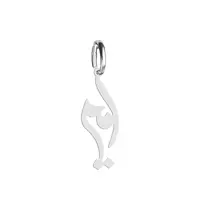 آویز گردنبند نقره هایکا طرح امیر مدل n.ha 232