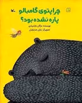 چرا پتوی گامبالو پاره نشده بود | مرکز فرهنگی آبی