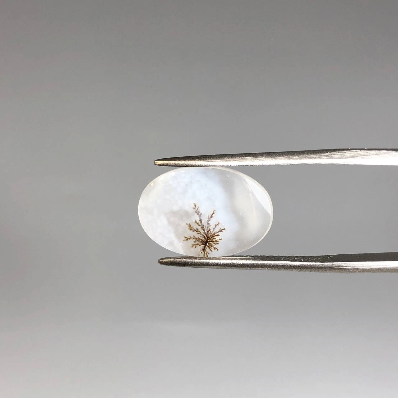 عقیق شجر اصلی تک درخت 250452