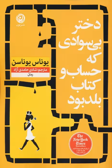 دختر بی سوادی که حساب و کتاب بلد بود - ناشربوک | خرید آنلاین کتاب